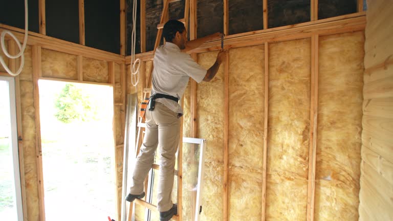 Best Commercial Insulation Services  in USA